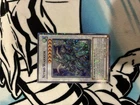 Nitro Warrior