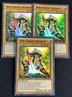 Noble Knight Brothers