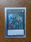 Fossil Warrior Skull King