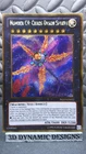 Number C9: Chaos Dyson Sphere