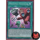 Obedience Schooled