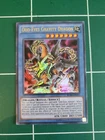Odd-Eyes Gravity Dragon