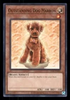 Outstanding Dog Marron