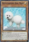 Outstanding Dog Mary