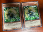 Myutant Clash