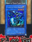 Paladin of White Dragon