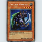 Shield Warrior