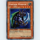 Shield Warrior