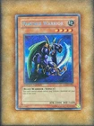 Shield Warrior