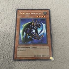 Shield Warrior