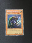 Valkyrion the Magna Warrior