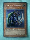 Amazoness War Chief