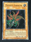 Parasite Paracide