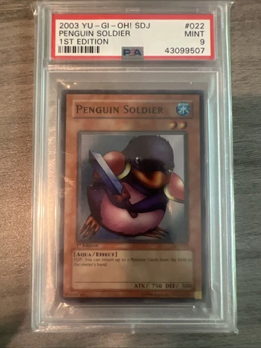 Penguin Soldier