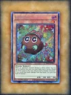 Performapal Partnaga