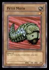 Petit Moth