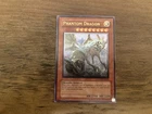 Phantom Dragon