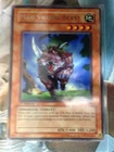 Mad Sword Beast