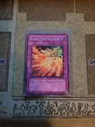 Phoenix Wing Wind Blast
