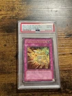 Phoenix Wing Wind Blast