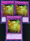 Phoenix Wing Wind Blast