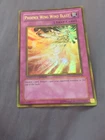 Phoenix Wing Wind Blast
