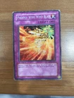 Phoenix Wing Wind Blast
