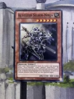 Senior Silver Ninja