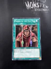Terrors of the Overrroot