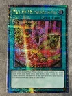 Pot of Avarice