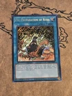 Raidraptor - Nest