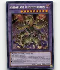 Predaplant Triphyoverutum