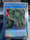 Predaplant Verte Anaconda