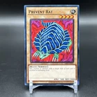 Prevent Rat