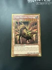 Prime Material Dragon