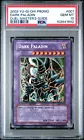 Dark Paladin