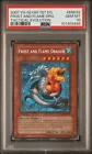 Frost and Flame Dragon
