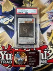Black Rose Dragon