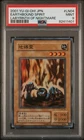 Fusion Gate