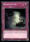 Quantum Cat