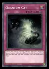 Quantum Cat