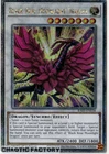 Black Rose Moonlight Dragon