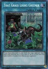 Card Guard