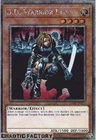 D.D. Warrior Lady