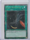 Black Whirlwind