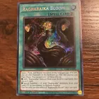 Ragnaraika Bloom