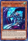 Rider of the Storm Winds