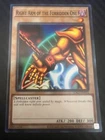 Right Arm of the Forbidden One