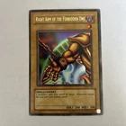 Right Arm of the Forbidden One