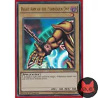 Right Arm of the Forbidden One